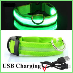 LED Glowing Collar