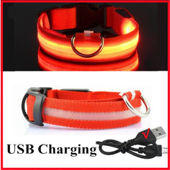 LED Glowing Collar