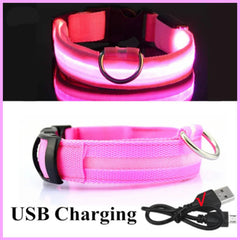 LED Glowing Collar